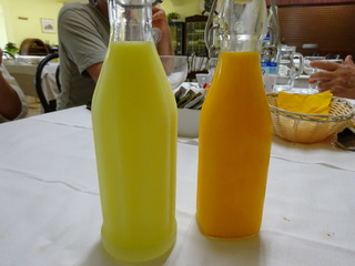 DSC00666.JPG