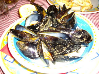 IMGP0038.JPG